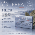 IQOS TEREA Balanced Regular（淡原味）煙彈 - Image 2